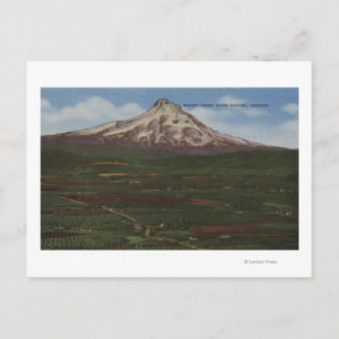 Mt. Huva, Oregon - Bergsvisning från Huva 2 Vykort