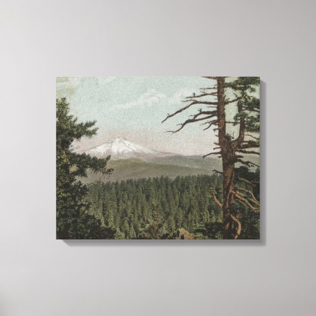 Mt. Huva, Oregon - View Mountain from Distant Canvastryck (Framsida)