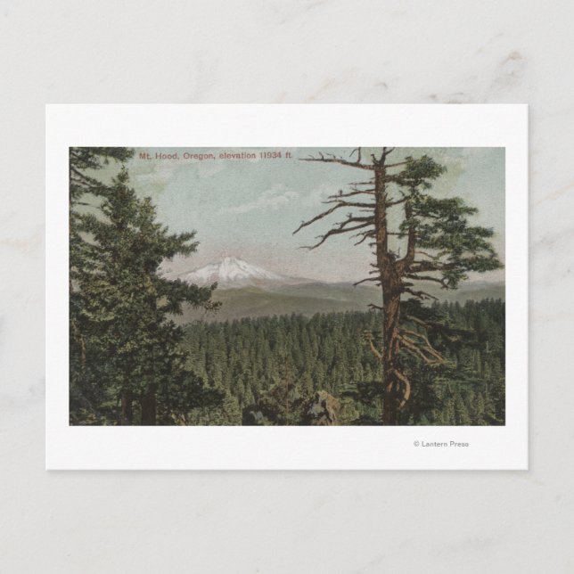 Mt. Huva, Oregon - View Mountain from Distant Vykort (Framsida)