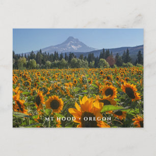 Mt-Huva   Oregon Vykort