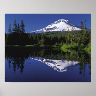Mt-huva Poster