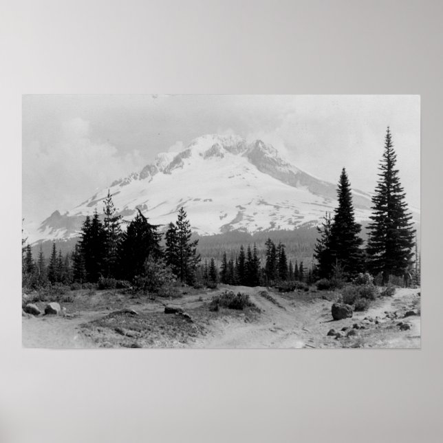 Mt. Huva View från Government Camp Photographic Poster (Framsidan)