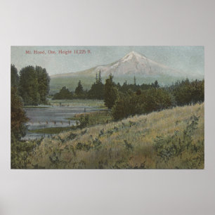 Mt. Huvan Oregon - beskåda av berg från huva 2 Poster