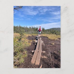 Mt. Jackson och Mt. Pierce Bog Bridge Postcard Vykort