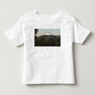 Mt. Jefferson, det Oregon berg beskådar Tröja