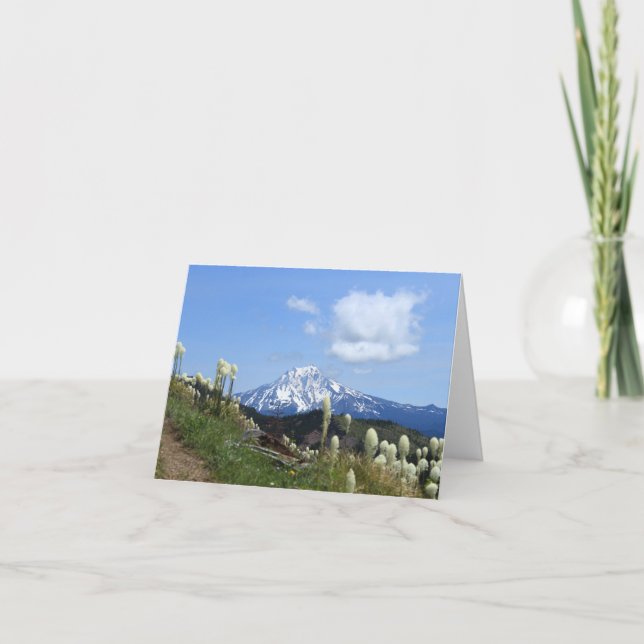 Mt. Jefferson tom 4x6 vykort. Tack Kort (Framsida)