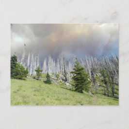 Mt. Jefferson Wilderness Vykort