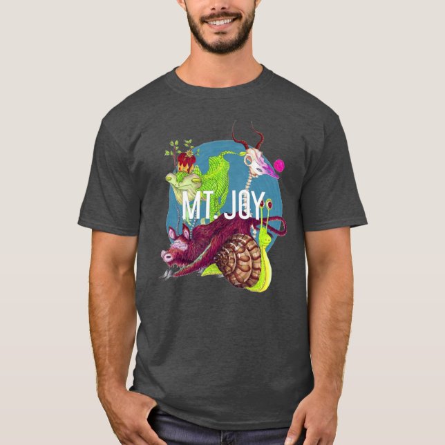 Mt Joy Merch Mt Joy Rearrange Us friend T Shirt (Framsida)