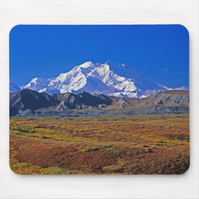 Mt. McKinley Denali National Park , Alaska. Musmatta (Framsidan)