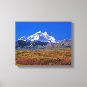 Mt. McKinley Denali nationalpark, Alaska. Canvastryck