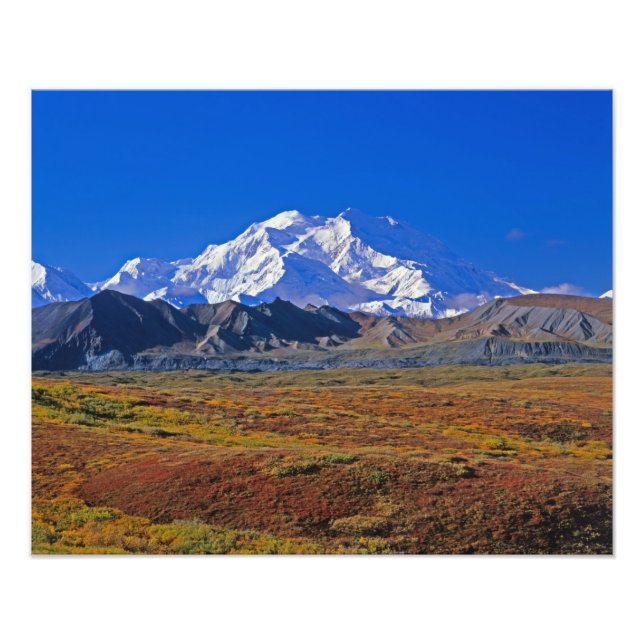 Mt. McKinley Denali nationalpark, Alaska. Fototryck (Framsidan)