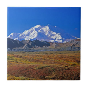 Mt. McKinley Denali nationalpark, Alaska Kakelplatta