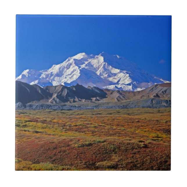 Mt. McKinley Denali nationalpark, Alaska Kakelplatta (Framsidan)