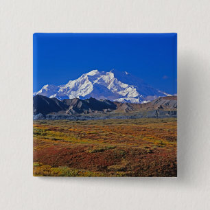 Mt. McKinley Denali nationalpark, Alaska. Knapp