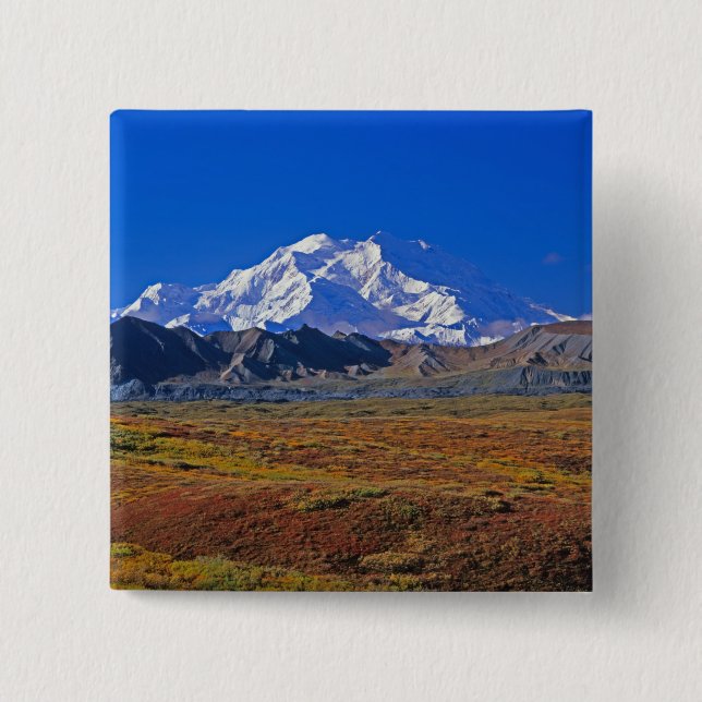Mt. McKinley Denali nationalpark, Alaska. Knapp (Framsida)
