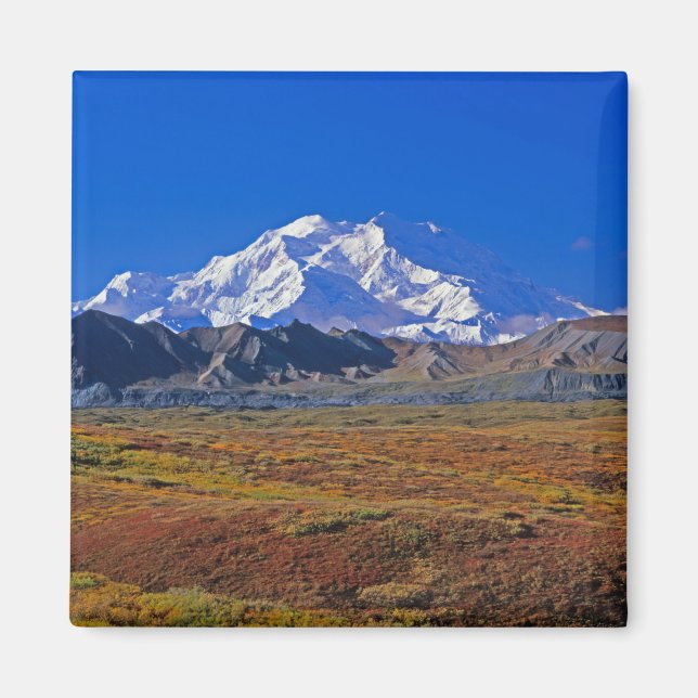 Mt. McKinley Denali nationalpark, Alaska. Magnet (Framsidan)