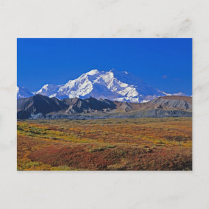 Mt. McKinley Denali nationalpark, Alaska. Vykort