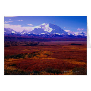 Mt. McKinley Hälsningskort