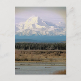 Mt. McKinley Vykort