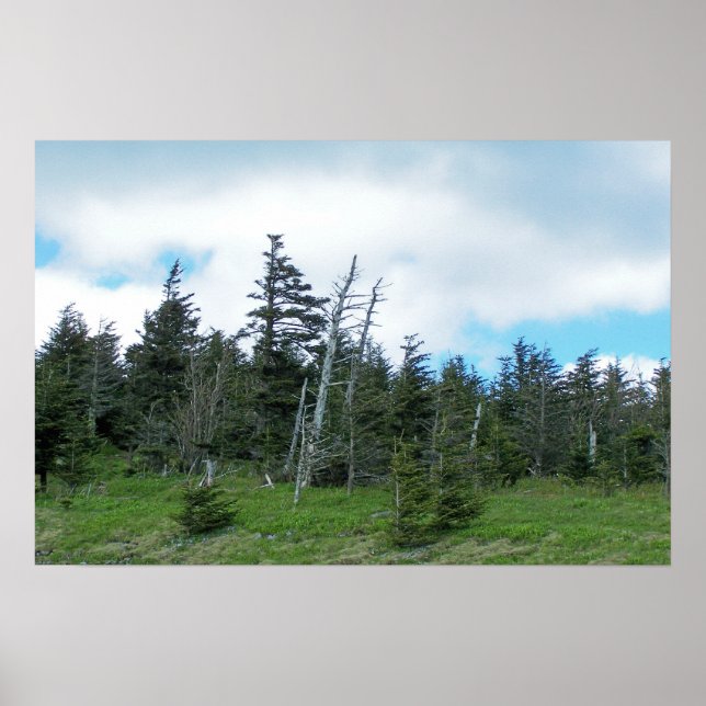 Mt. Mitchell I Poster (Framsidan)