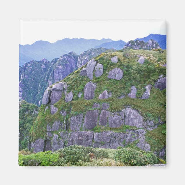 Mt Nagata, Yakushima, Kagoshima, Japan Magnet (Framsidan)