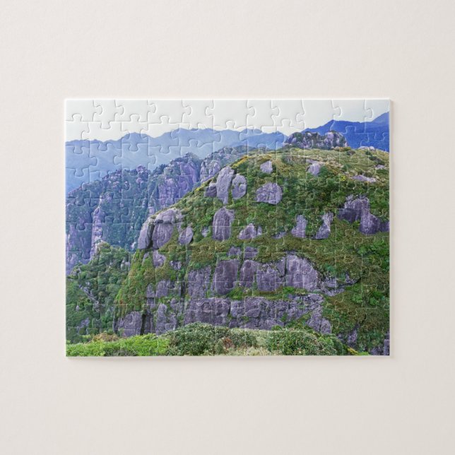 Mt. Nagata, Yakushima, Kagoshima, Japan Pussel (Horisontell)