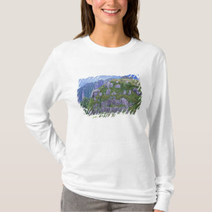 Mt. Nagata, Yakushima, Kagoshima, Japan T-shirt