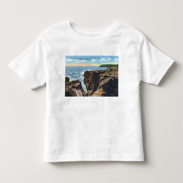 Mt. Öde ö beskådar av åskahål T Shirt (Framsida)