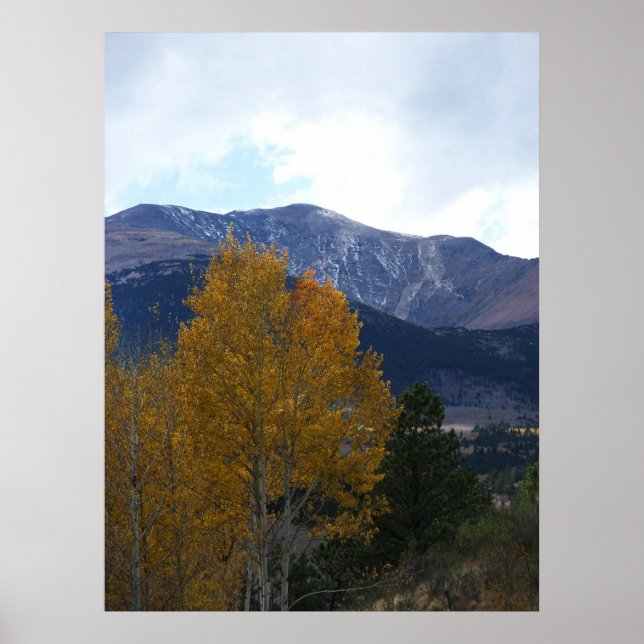 Mt Ouray Poster (Framsidan)