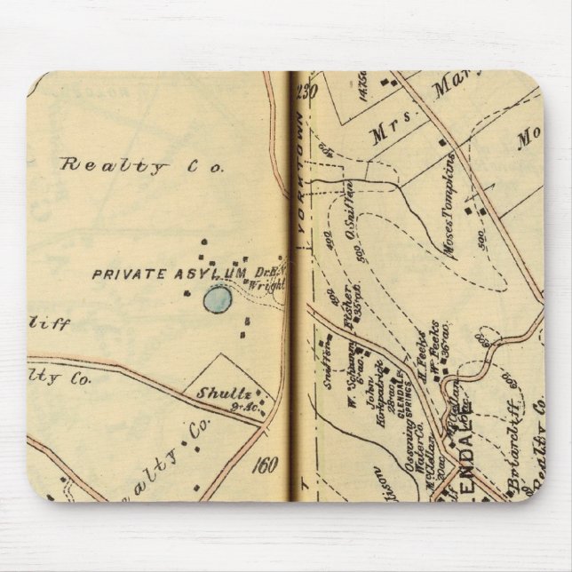 Mt. Pleasant, New York 2 Musmatta (Framsidan)