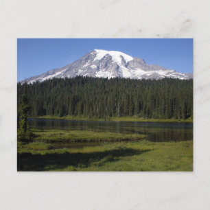 Mt. Rainer Vykort