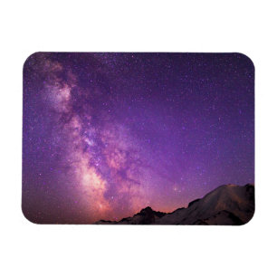 Mt. Rainier Nationalpark Washingtons delstat Magnet