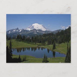 Mt. Rainier och Tipsoo Lake vykort