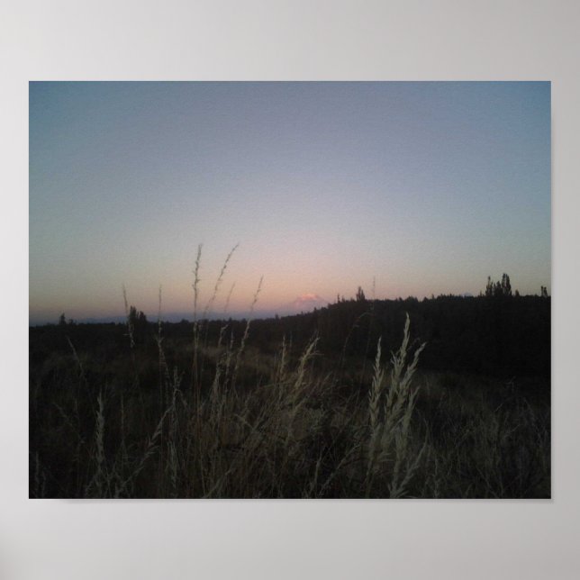 Mt Rainier. Poster (Framsidan)