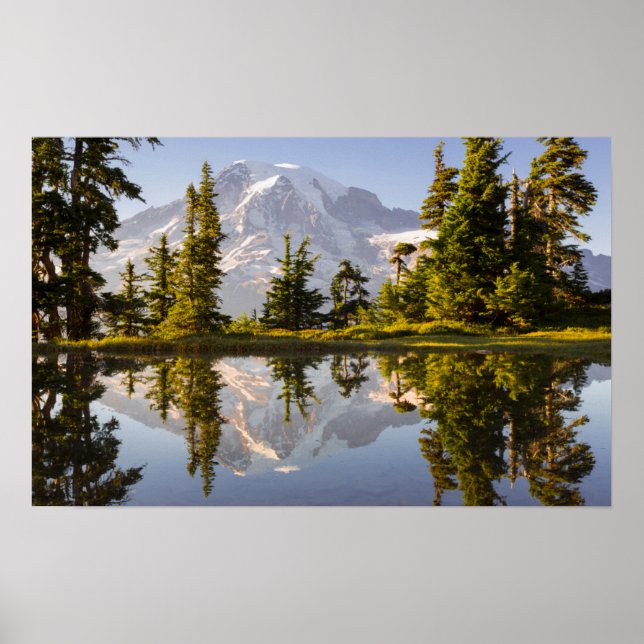 Mt. Rainier reflekterade i en tång nära Plummer-to Poster (Framsidan)