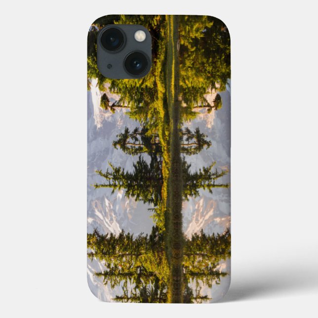 Mt. Rainier speglas i en tång nära Plumtoppen (Baksida)