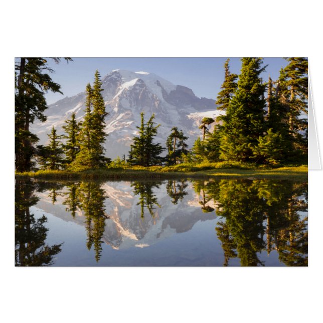 Mt. Rainier speglas i en tjärn nära Plummer Peak Hälsningskort (Framsidan Horizontal)