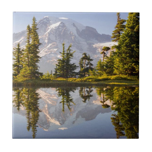 Mt. Rainier speglas i en tjärn nära Plummer Peak Kakelplatta (Framsidan)
