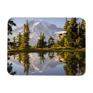 Mt. Rainier speglas i en tjärn nära Plummer Peak Magnet