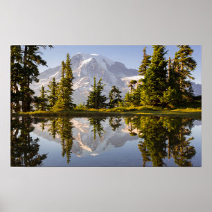 Mt. Rainier speglas i en tjärn nära Plummer Peak Poster