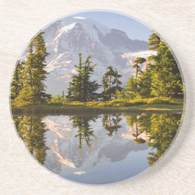 Mt. Rainier speglas i en tjärn nära Plummer Peak Underlägg (Framsidan)
