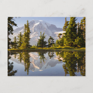 Mt. Rainier speglas i en tjärn nära Plummer Peak Vykort