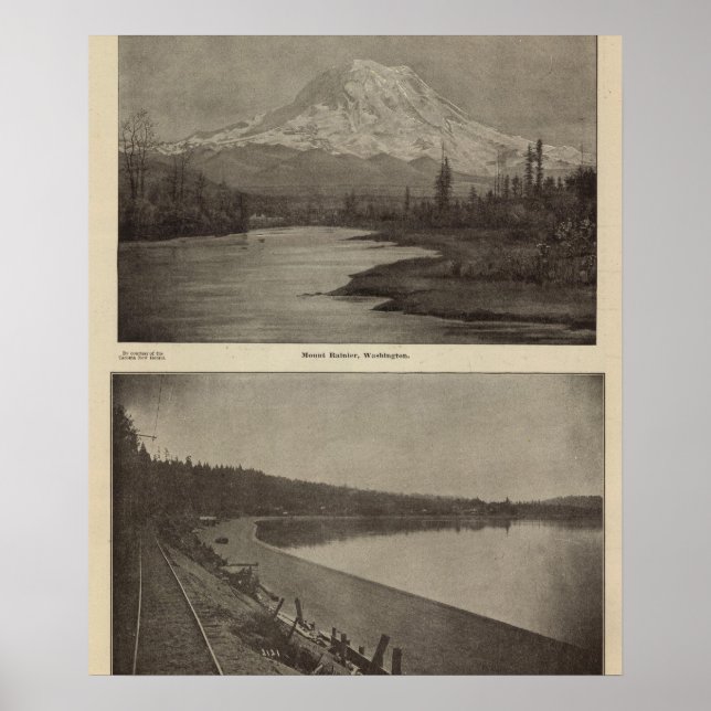 Mt Rainier Steilacoom Beach Poster (Framsidan)