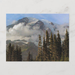 Mt Rainier Vykort