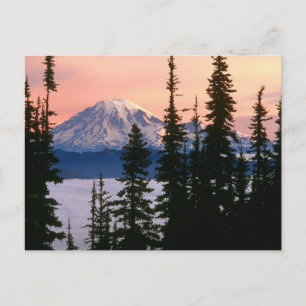 Mt. Ranier, Washington Vykort