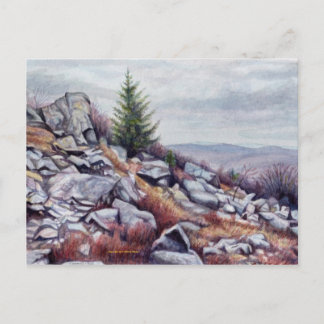 Mt. Rogers vycard Vykort