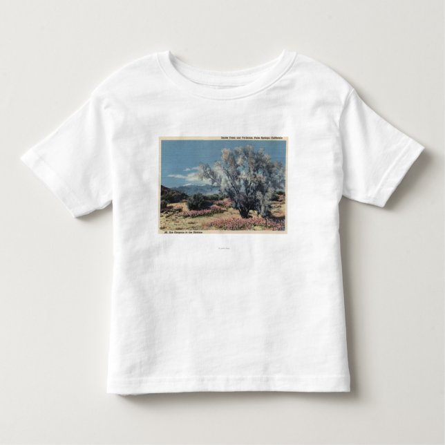 Mt. San Gorgonio beskådar, röker träd T-shirt (Framsida)