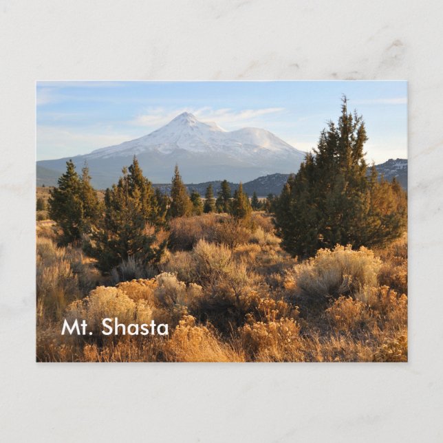 Mt. Shasta på hösten Vykort (Framsida)