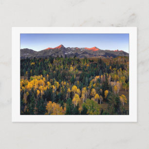 "Mt. Sneffel - Dallas Divide Road" Vykort