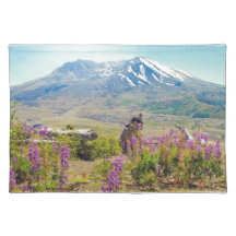 Mt. St Helens